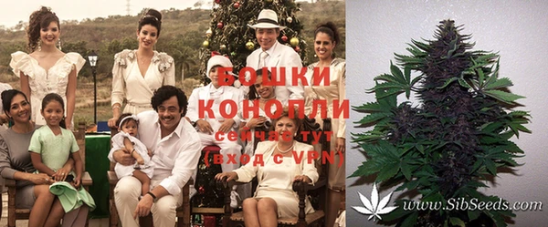 гидра Армянск